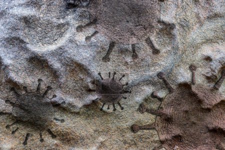 Photo for Old stone and rock textures with some virus fossil - Royalty Free Image