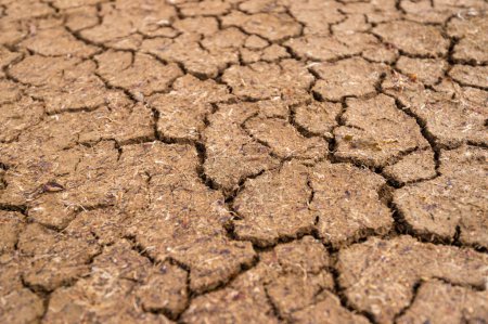 Photo for Dry ground with cracks, natural background - Royalty Free Image