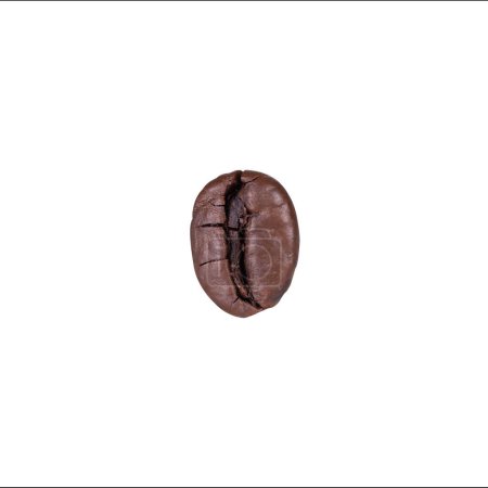 Téléchargez les photos : Grain de café isolé sur blanc - en image libre de droit