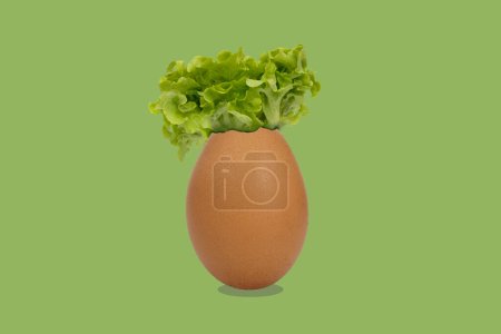 Photo for Egg shell with salad leaves on green background - Royalty Free Image