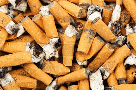 Photo for Cigarette butts close up - Royalty Free Image