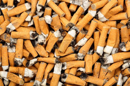 Téléchargez les photos : Les mégots de cigarette se ferment - en image libre de droit