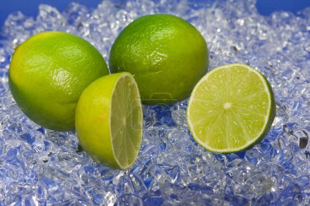 Photo for Close-up view of fresh organic limes on ice cubes - Royalty Free Image
