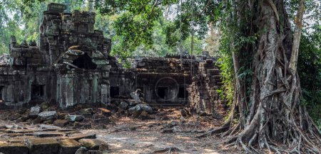 Téléchargez les photos : "Angkor wat jungle au Cambodge à Siem Reap." - en image libre de droit