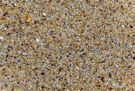 Photo for Beach sand background close up - Royalty Free Image
