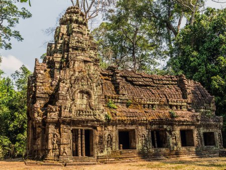 Photo for "Angkor wat jungle in Siem Reap Cambodia." - Royalty Free Image