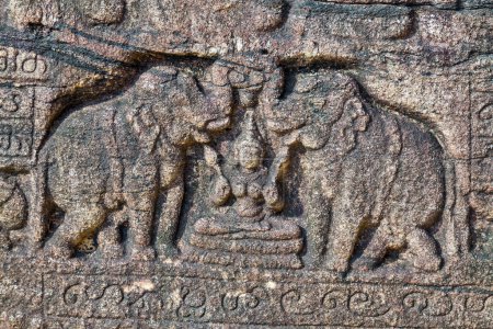 Foto de "stone elephants Polonnaruwa Archaeological Ruins, Sri Lanka" - Imagen libre de derechos