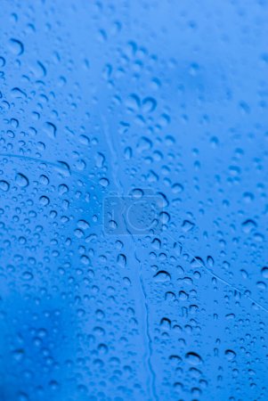 Photo for "Water drops on window" - Royalty Free Image