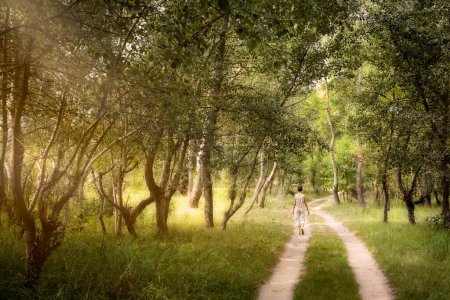 Téléchargez les photos : "Adult woman is walking in the forest" - en image libre de droit