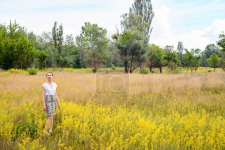 Téléchargez les photos : Femme debout dans un champ de Galium Verum - en image libre de droit