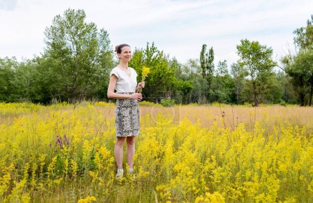 Téléchargez les photos : "Femme debout dans un champ de Galium Verum" - en image libre de droit