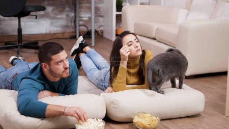 Photo for "Young couple spending time with their cat" - Royalty Free Image
