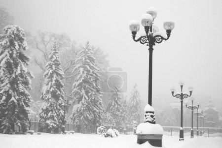Foto de Maravilloso invierno vista panorámica - Imagen libre de derechos