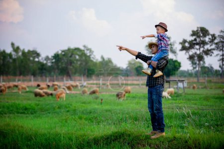 Foto de Padre e hijo se pararon y observaron a las ovejas en su granja - Imagen libre de derechos