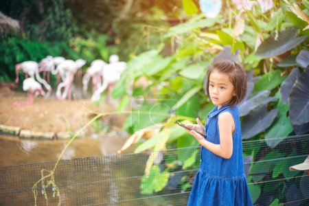 Téléchargez les photos : Les enfants asiatiques filles voyagent et apprennent dans le zoo - en image libre de droit