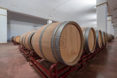 Photo for Fmerican Oak Barrels aging on a modern Winery - Royalty Free Image