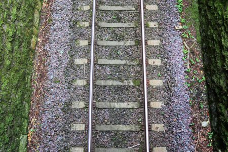 Foto de Múltiples vías férreas con cruces en una estación de tren - Imagen libre de derechos