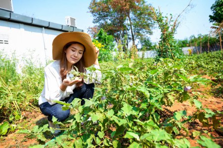 Téléchargez les photos : Asiatique agricultrice s'occupe de son potager biologique - en image libre de droit