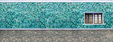Foto de Panorama de piedra de arena pared de ladrillo gris ventana de color azul - Imagen libre de derechos