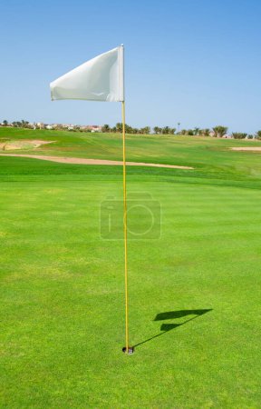 Téléchargez les photos : Drapeau sur un golf vert - en image libre de droit