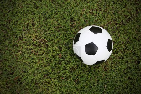 Photo for Football ball on grass close up - Royalty Free Image