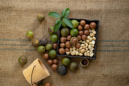 Photo for "Macadamia nuts on sacks in natural light" - Royalty Free Image