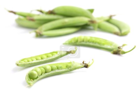 Photo for Soybeans isolated in white background - Royalty Free Image