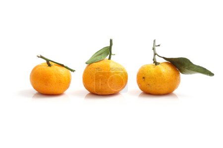 Téléchargez les photos : Oranges mûres isolées en fond blanc - en image libre de droit