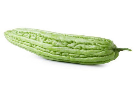 Photo for Bitter melon isolated on a white background - Royalty Free Image