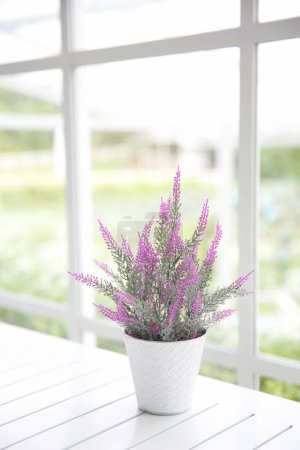 Téléchargez les photos : Fleur violette en pot. Beau fond floral - en image libre de droit