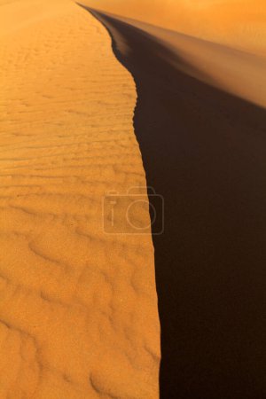 Photo for Desert at sunset, natural background - Royalty Free Image