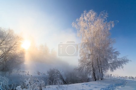 Foto de "niebla invierno ribera por la mañana con el sol brillan entre los abedules - marco horizontal
" - Imagen libre de derechos