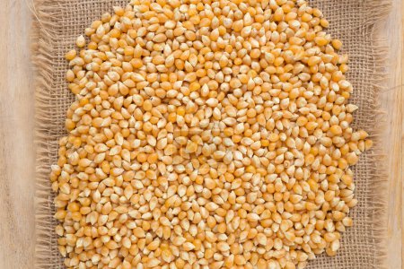 Foto de Vista superior del montón de semillas de maíz como fondo - Imagen libre de derechos