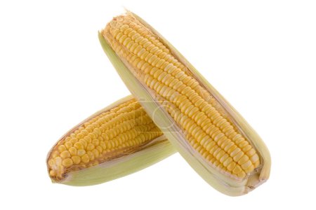Photo for Sweet corn isolated on white background - Royalty Free Image