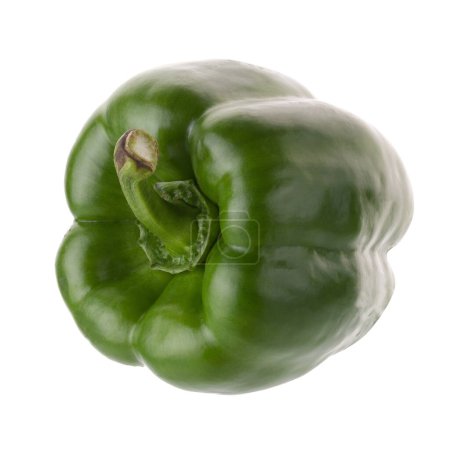 Photo for "Green pepper shooted isolated on a white background" - Royalty Free Image