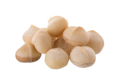 Foto de Nueces secas de macadamia aisladas sobre un fondo blanco - Imagen libre de derechos
