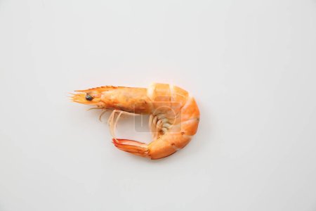 Photo for Boiled Shrimp isolated on grey background - Royalty Free Image