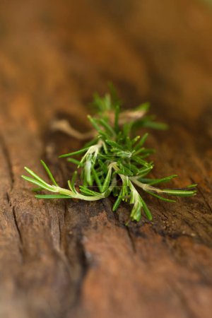 Téléchargez les photos : Romarin Herbes et herbes médicinales. Herbes de guérison biologique - en image libre de droit