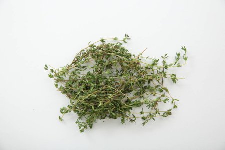 Photo for Thyme herb isolated in white background - Royalty Free Image