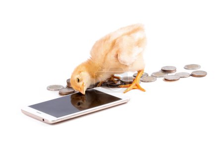 Photo for Chick communicate with smartphones for money - Royalty Free Image