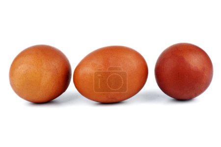 Téléchargez les photos : Eggs dyed in brown color with natural organic dye - en image libre de droit
