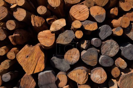 Téléchargez les photos : Bois brun Bois de chauffage, troncs d'arbres - en image libre de droit