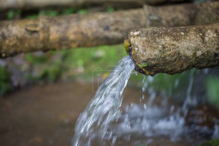 Foto de El agua natural fluye de la tubería de bambú para la agricultura - Imagen libre de derechos