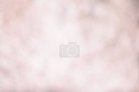 Foto de Fondo rosa de flores de sakura - Imagen libre de derechos