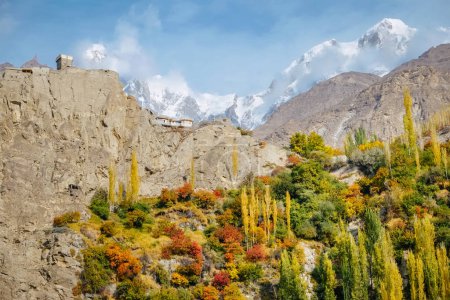 Photo for Colorful foliage in Hunza valley in autumn against Karakoram mountain range - Royalty Free Image