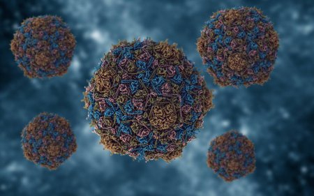 Foto de Staphylococcus aureus. Estructura del virus del estafilococo. Ilustración 3D. - Imagen libre de derechos