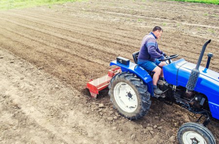 Photo for A farmer on a tractor cultivates a farm field. Grinding and loosening soil, removing plants and roots from past harvest. Field preparation for new crop planting. Cultivation equipment. - Royalty Free Image