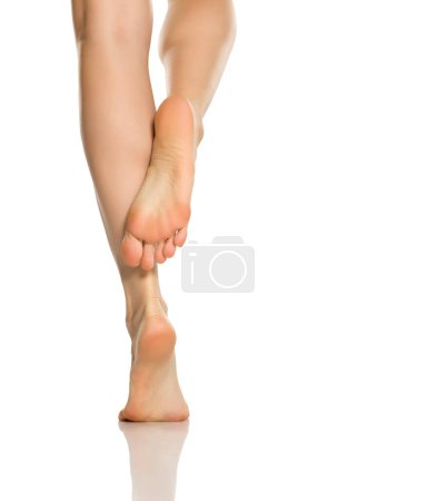 Téléchargez les photos : Belles jambes féminines sur fond blanc - en image libre de droit
