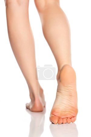 Téléchargez les photos : Belles jambes féminines sur fond blanc - en image libre de droit