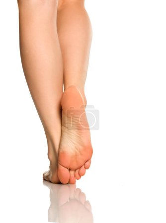 Foto de Hermosas piernas femeninas sobre fondo blanco - Imagen libre de derechos
